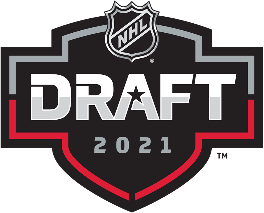 NHL Draft 2021 Primary Logo iron on heat transfer
